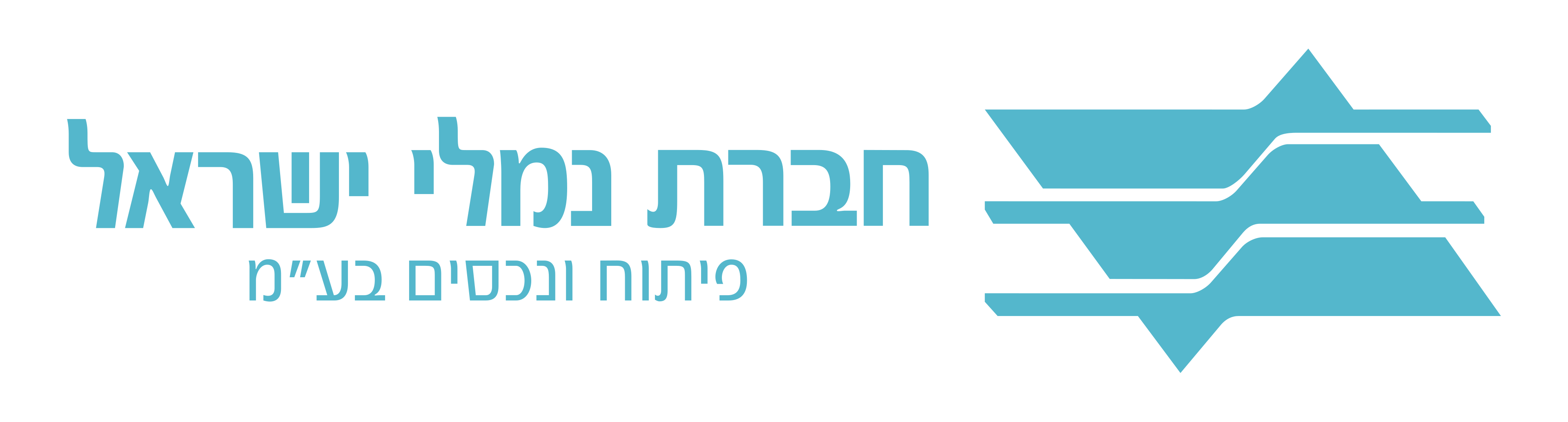 Logo 13
